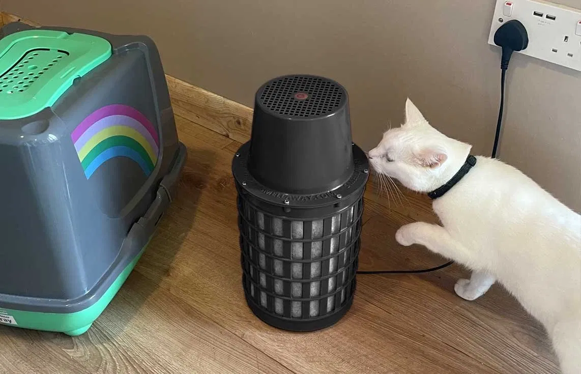 Air Purifiers Odour Neutralisers and Dust Removers for a Fresher Home